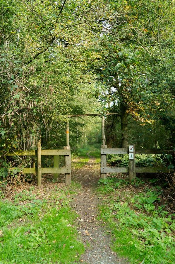 Lichtervelde Reneヴィラ エクステリア 写真